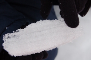 A layered section of snow with fingertip for scale. Photo: Bonnie Laverock